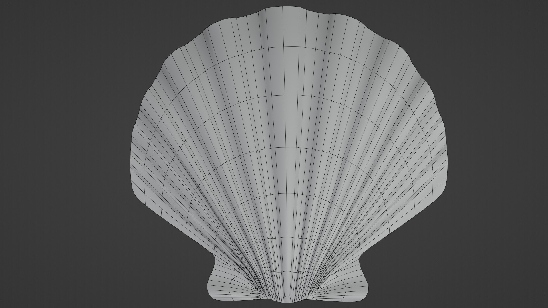 Seashell Low-poly 3D model_16