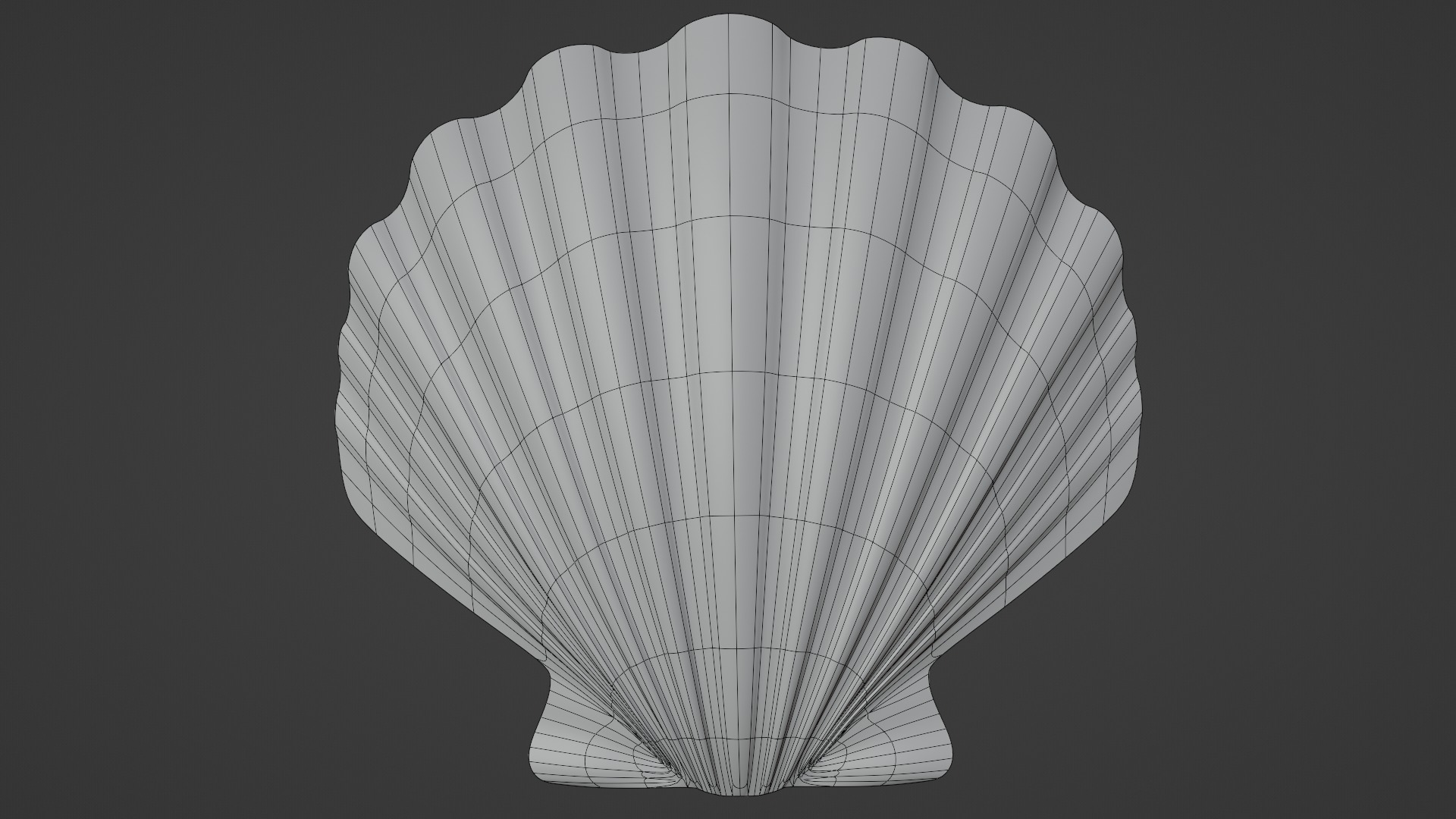 Seashell Low-poly 3D model_15