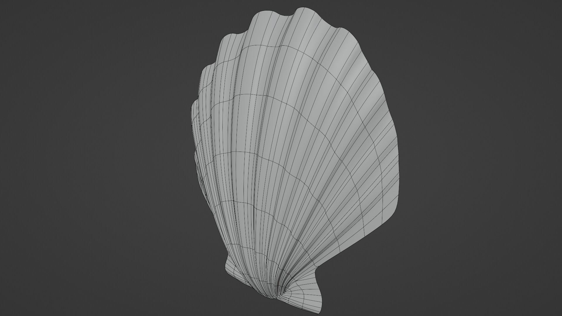 Seashell Low-poly 3D model_12