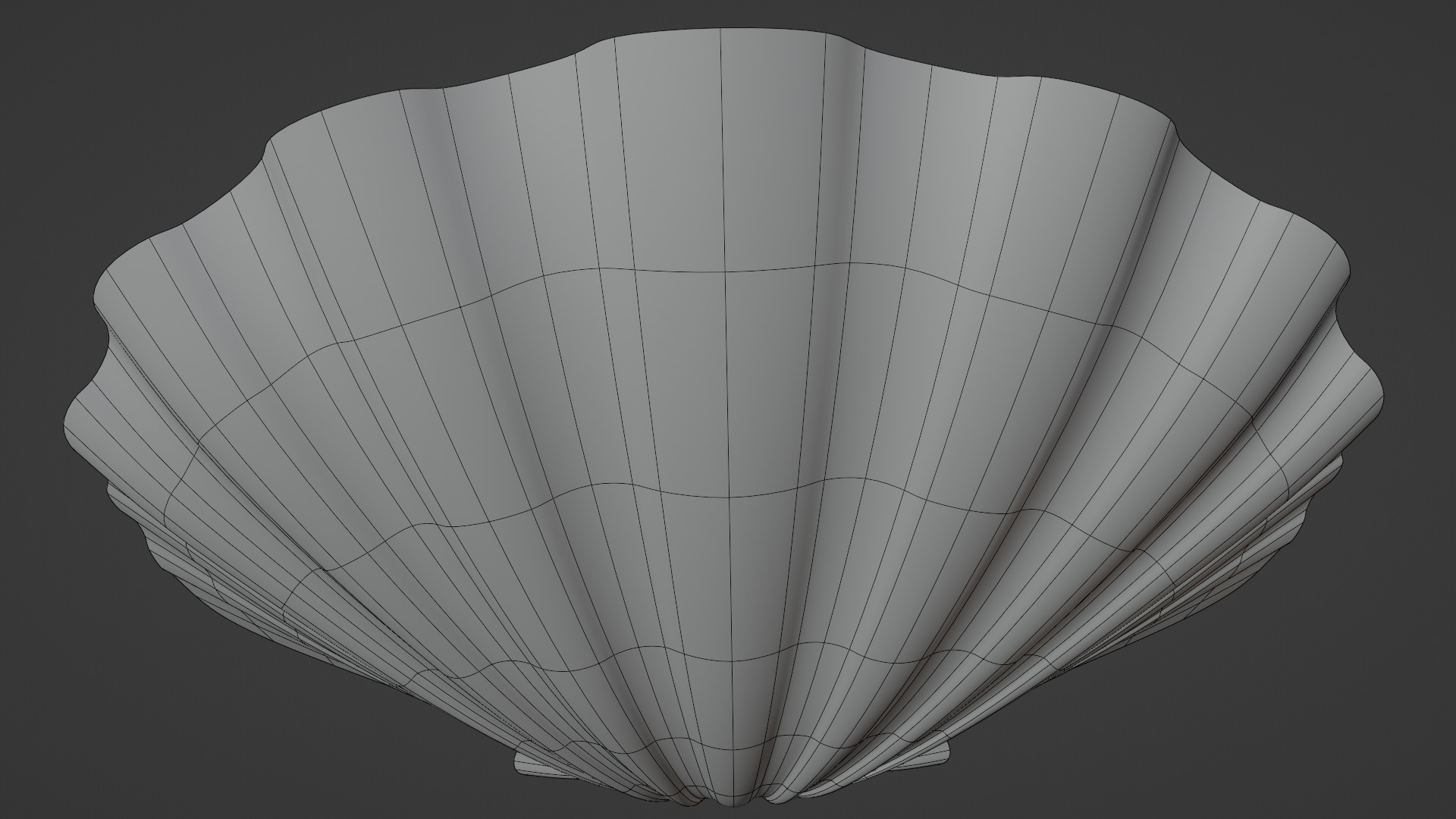 Seashell Low-poly 3D model_13