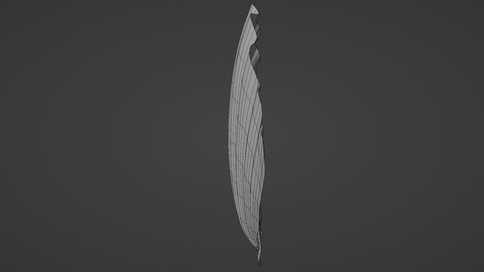 Seashell Low-poly 3D model_14