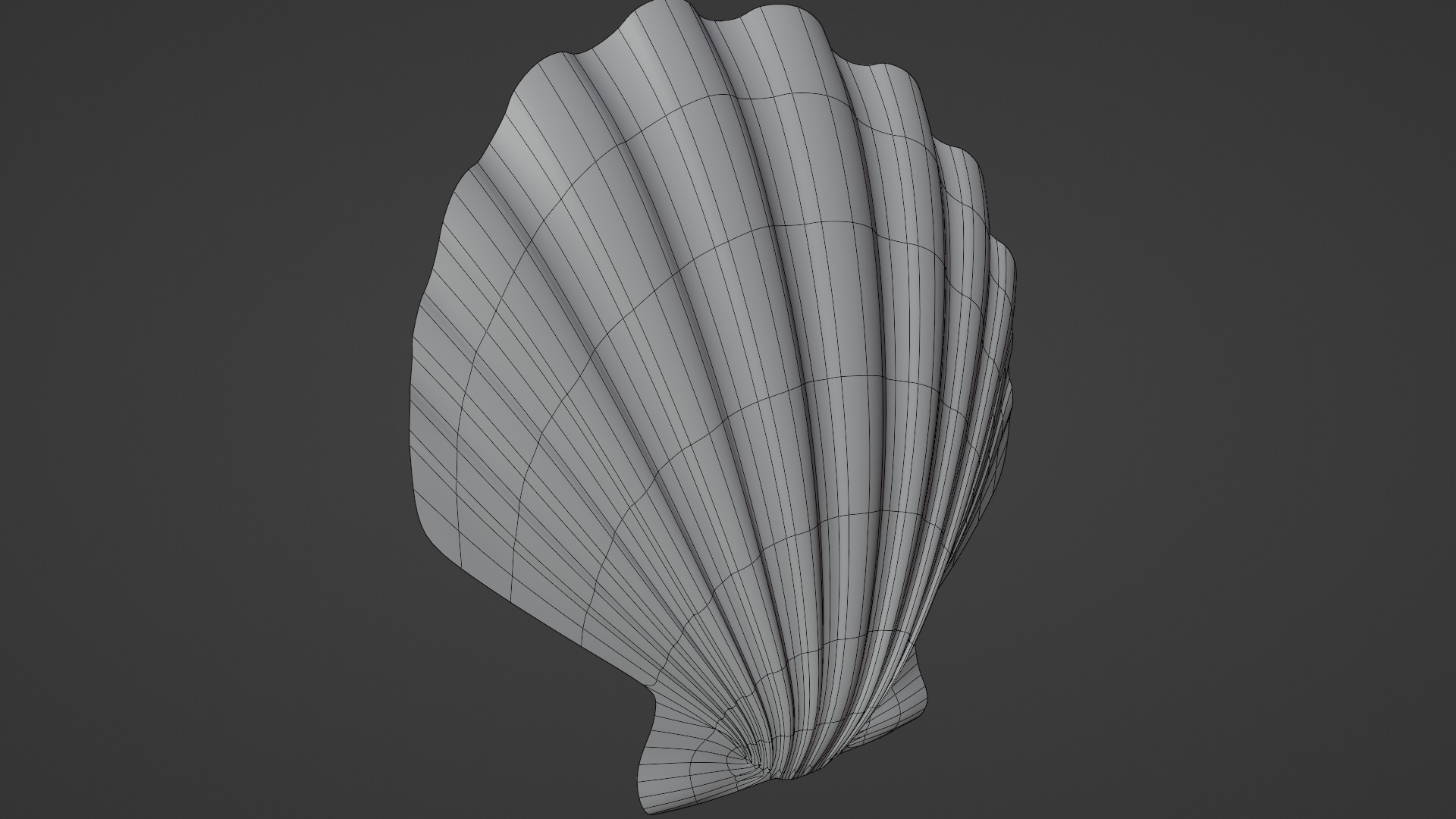 Seashell Low-poly 3D model_10