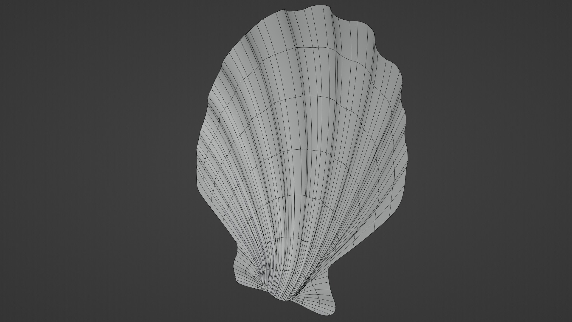 Seashell Low-poly 3D model_11