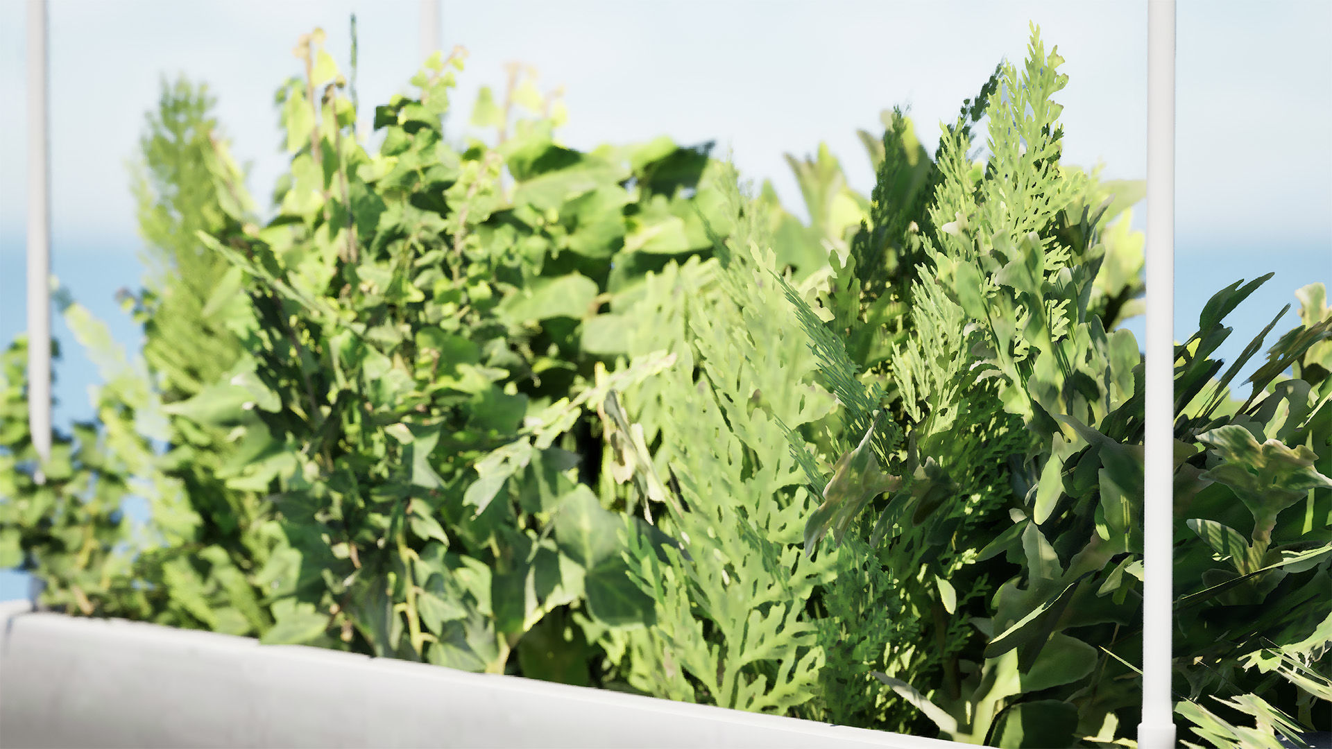 Modern Hanging Planter with Cascading Plants Low-poly 3D model_6