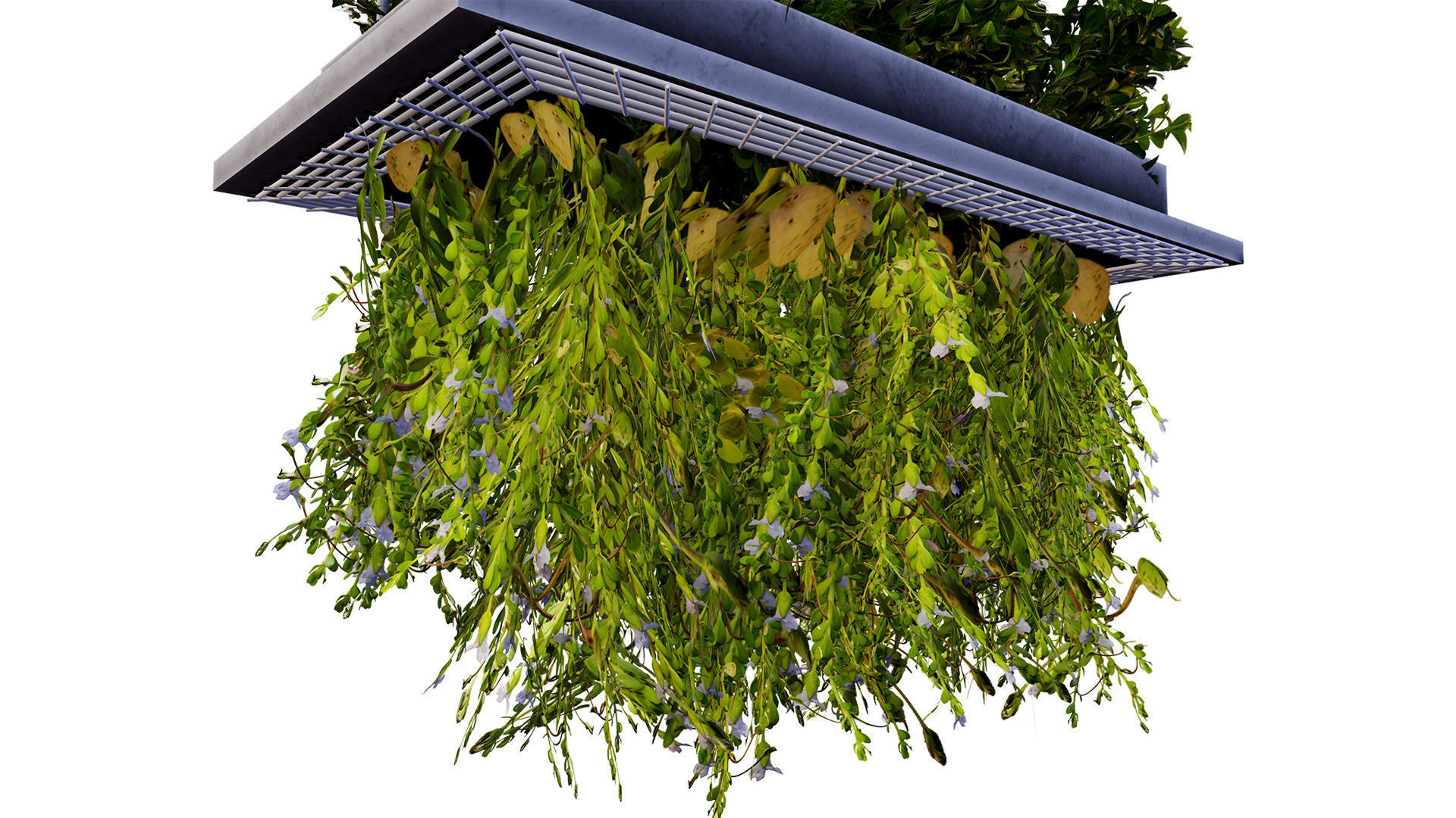 Modern Hanging Planter with Cascading Plants Low-poly 3D model_1
