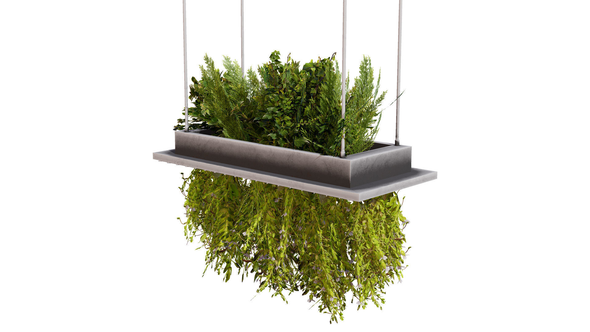 Modern Hanging Planter with Cascading Plants Low-poly 3D model_3