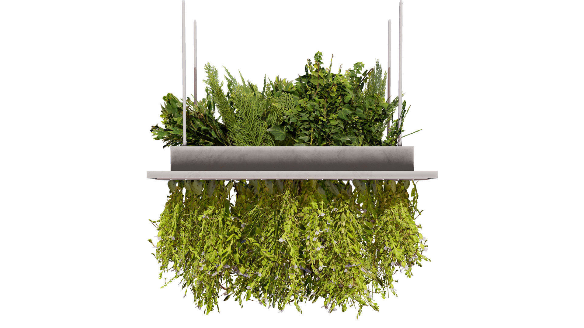 Modern Hanging Planter with Cascading Plants Low-poly 3D model_4