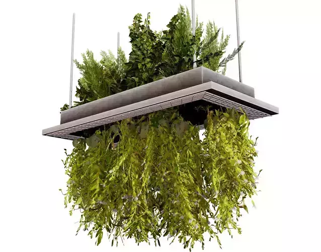 Modern Hanging Planter with Cascading Plants Low-poly 3D model