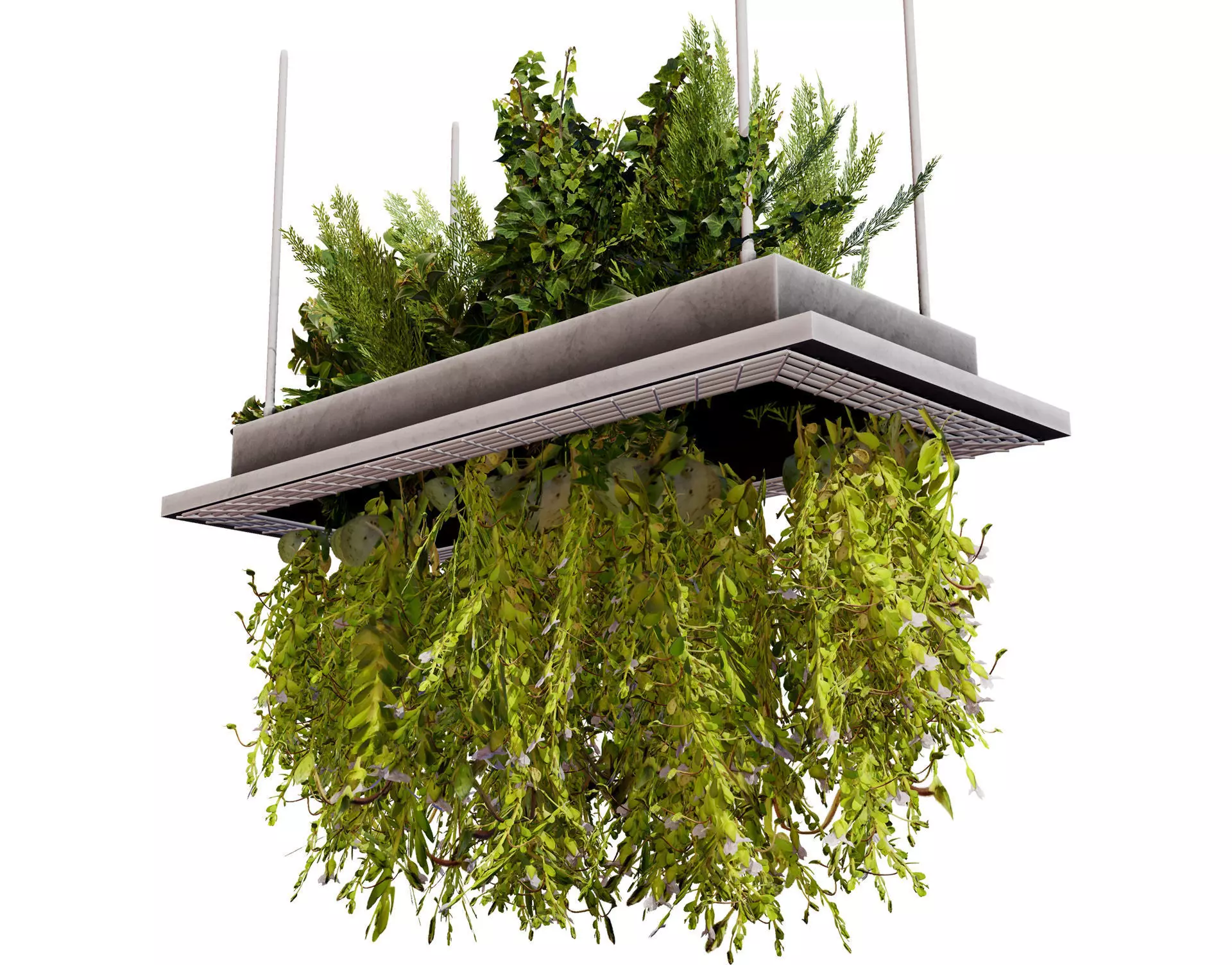 Modern Hanging Planter with Cascading Plants Low-poly 3D model_0