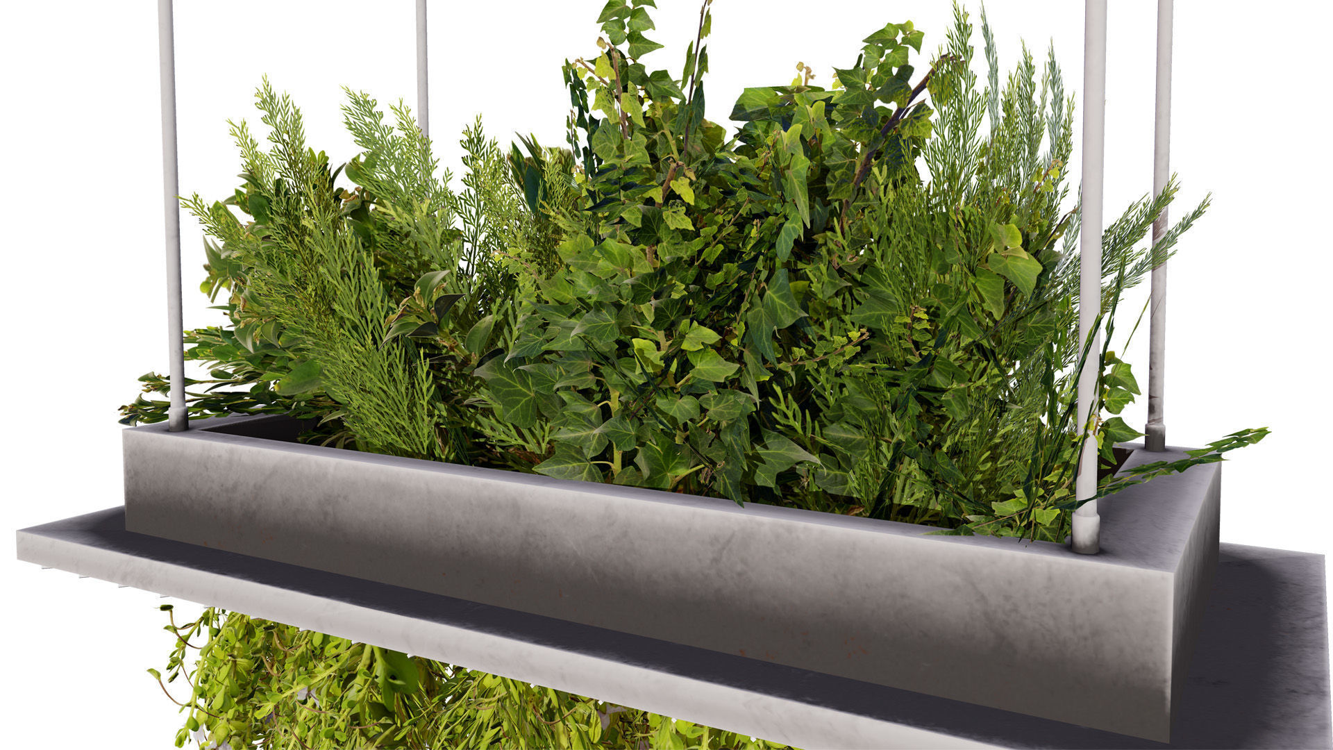 Modern Hanging Planter with Cascading Plants Low-poly 3D model_5