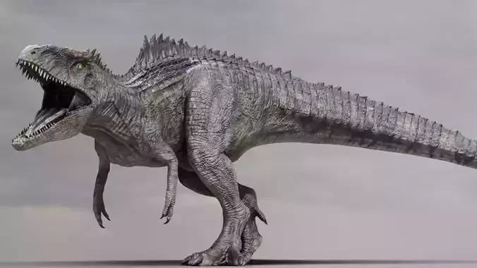 Giganotosaurus Dinosaur