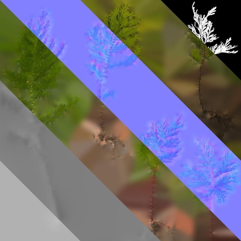 Anydrafts Selaginella delicatula Atlas 02 Texture_8