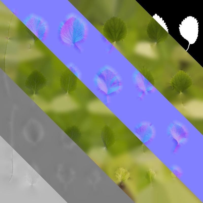 Anydrafts Acalypha reptans Leaf 01 Texture_8