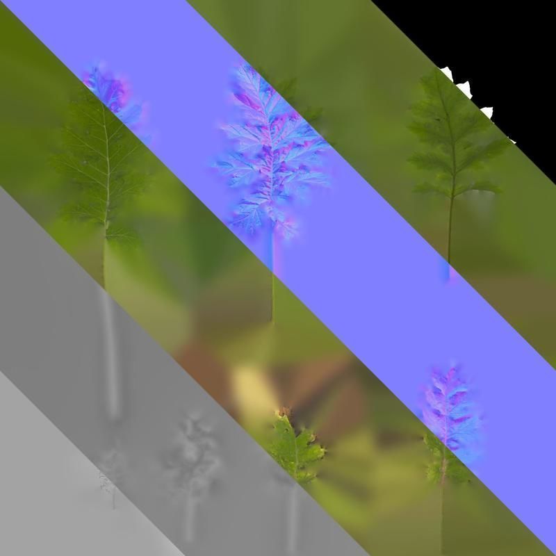 Anydrafts Acanthus mollis Leaf 07 Texture_8