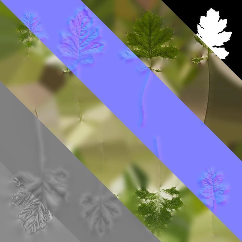 Anydrafts Acanthus whitewater Leaf 03 Texture_8