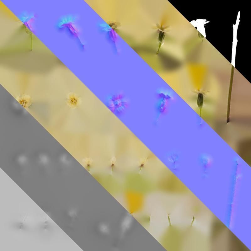 Anydrafts Achillea millefolium Flower 04 Texture_8