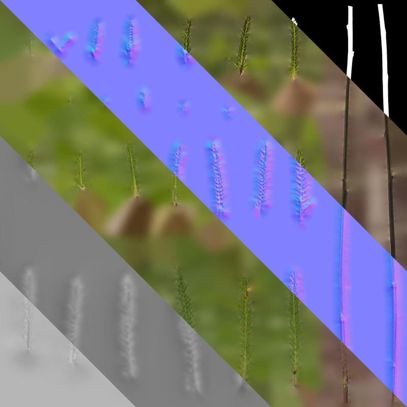 Anydrafts Achillea millefolium Leaf 02 Texture_8