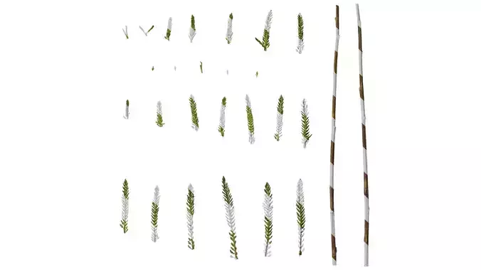Anydrafts Achillea millefolium Leaf 02 Texture