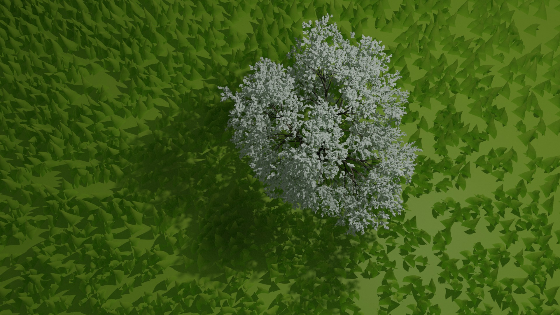 pine tree in flat grass terrain 3D model_1