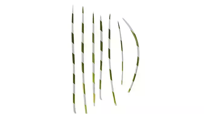 Anydrafts Acorus gramineus Leaf 03