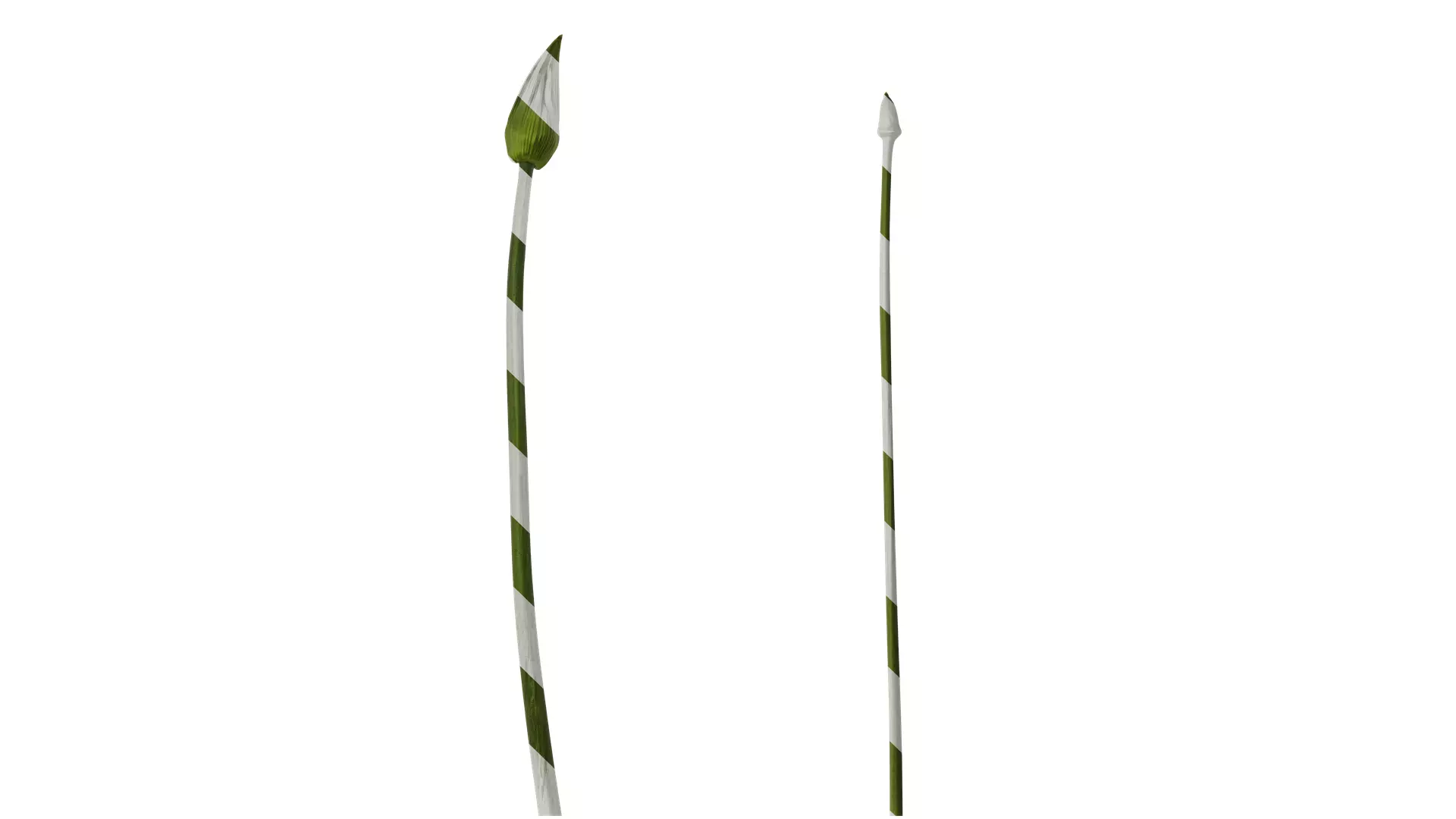 Anydrafts Agapanthus africanus Flower 07 Texture_0