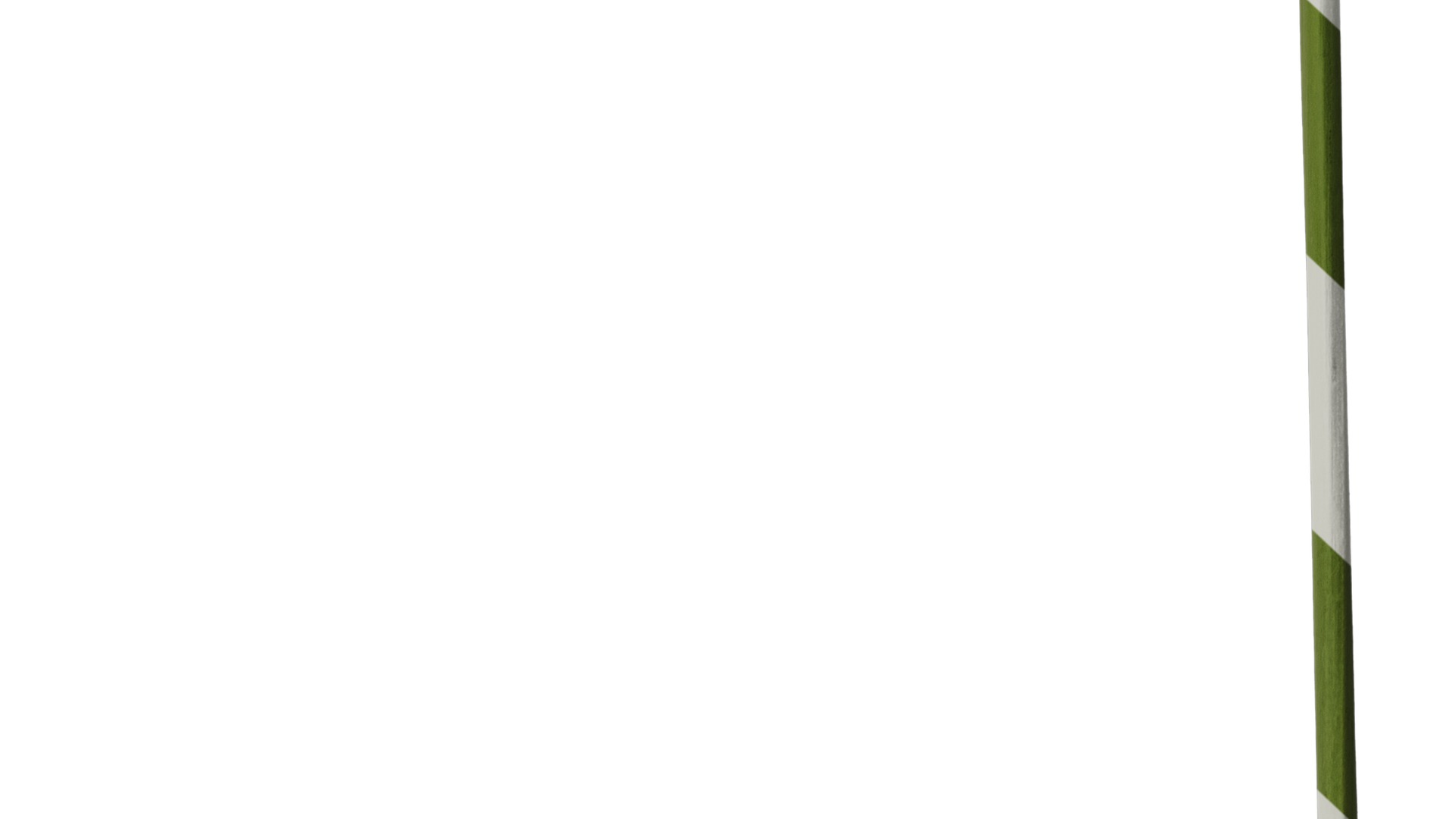 Anydrafts Agapanthus africanus Flower 07 Texture_7