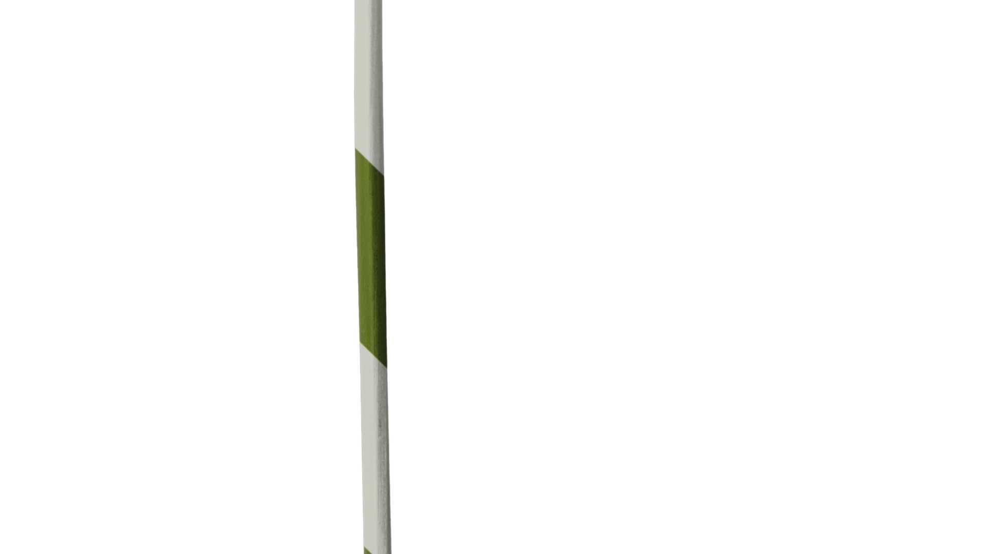 Anydrafts Agapanthus africanus Flower 07 Texture_4