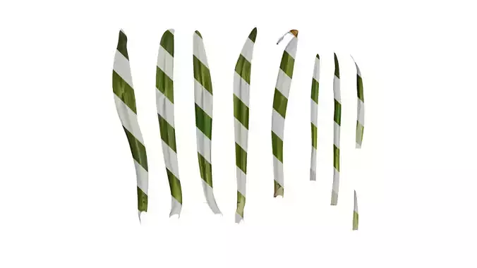 Anydrafts Agapanthus africanus Leaf 02