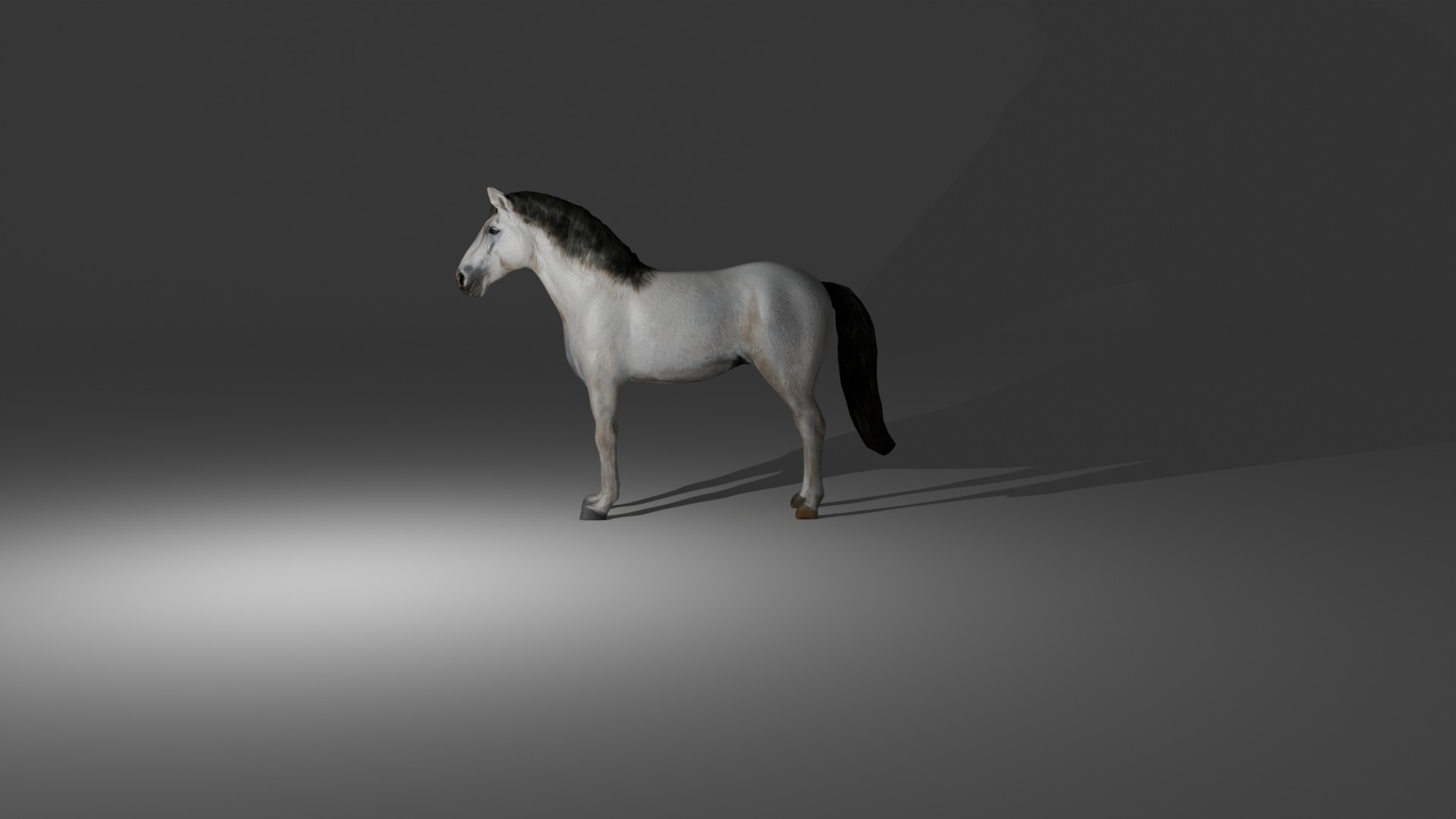 Rigged and animated white horse Low-poly 3D model_8
