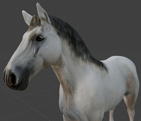 Rigged and animated white horse Low-poly 3D model