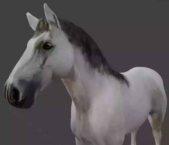 Rigged and animated white horse