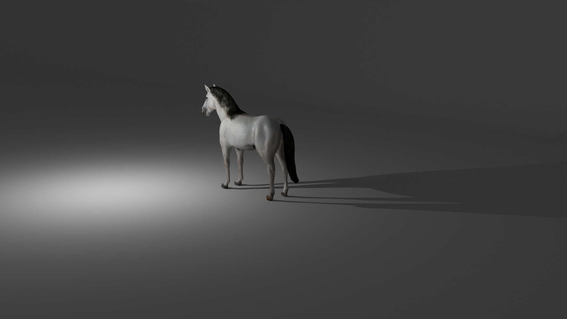 Rigged and animated white horse Low-poly 3D model_10