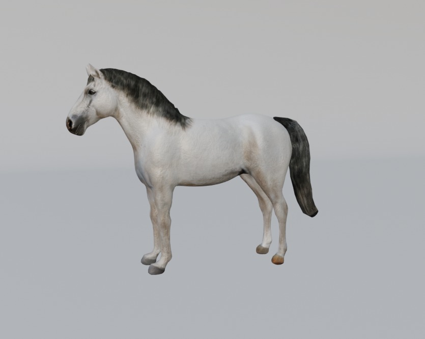 Rigged and animated white horse Low-poly 3D model_6