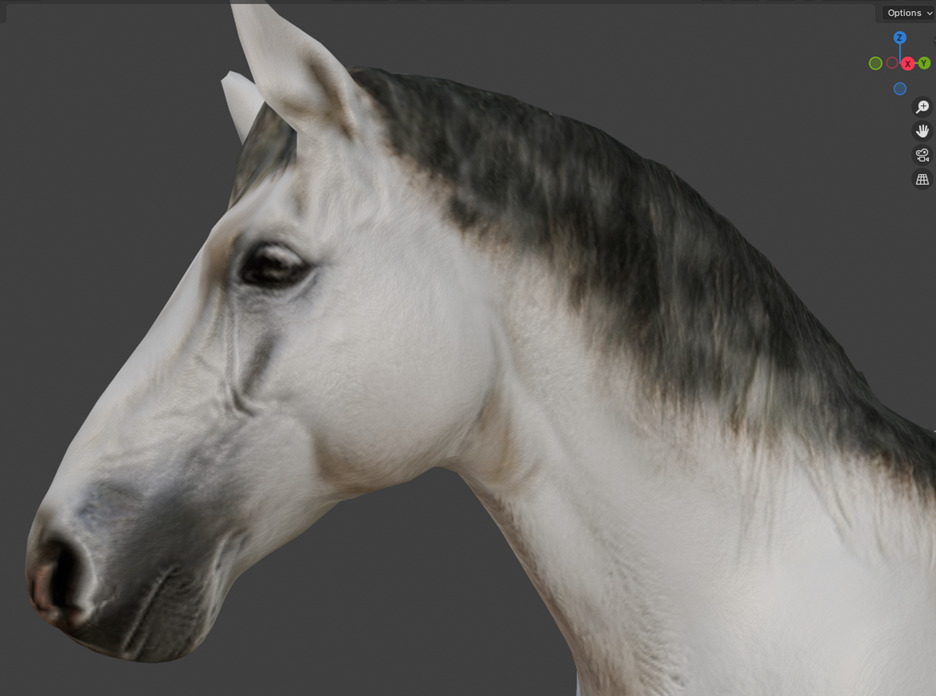 Rigged and animated white horse Low-poly 3D model_3