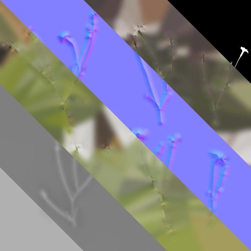 Anydrafts Agrostemma githago bianca Atlas 02 Texture_8