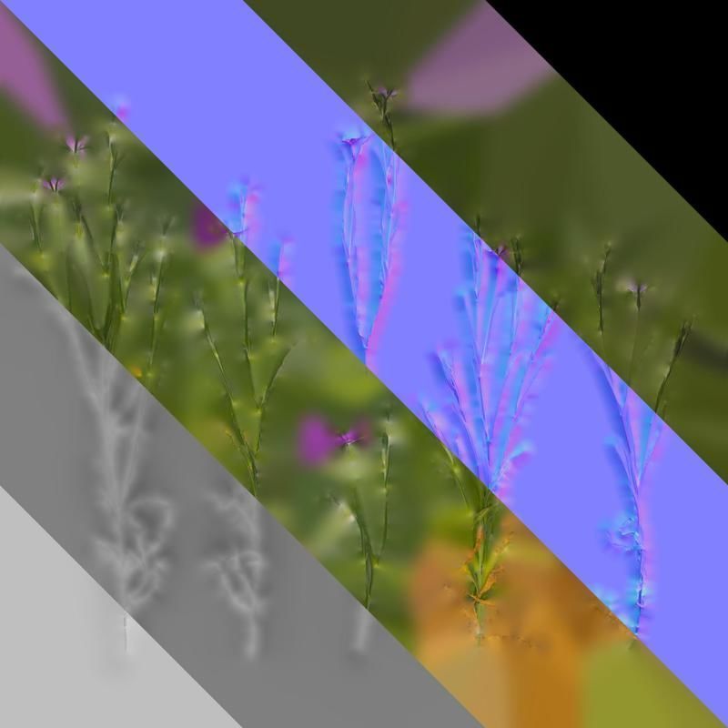 Anydrafts Agrostemma githago milas Atlas 01 Texture_8