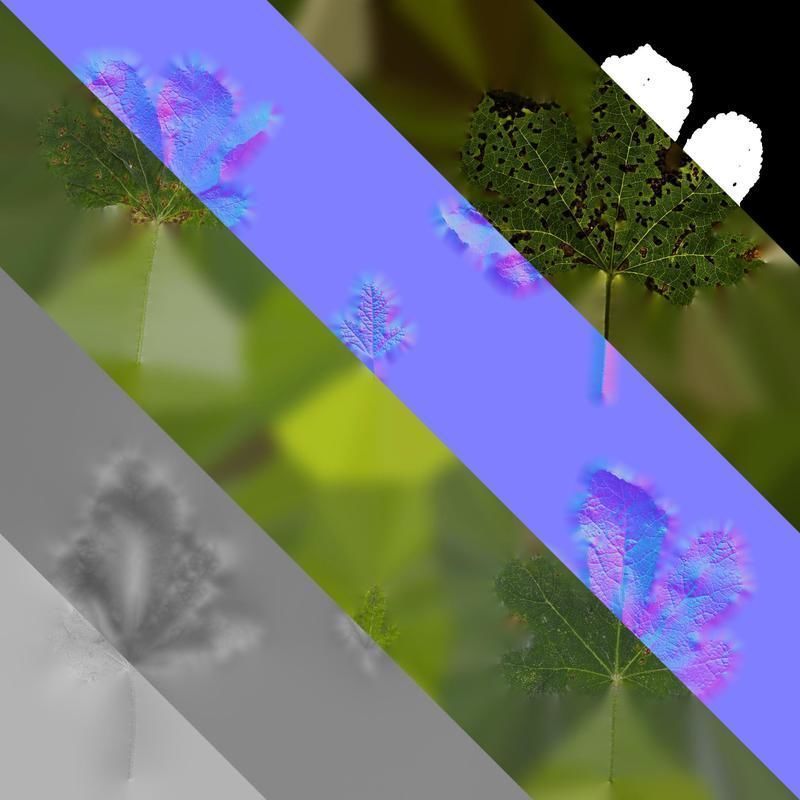 Anydrafts Alcea rosea Leaf 05 Texture_8