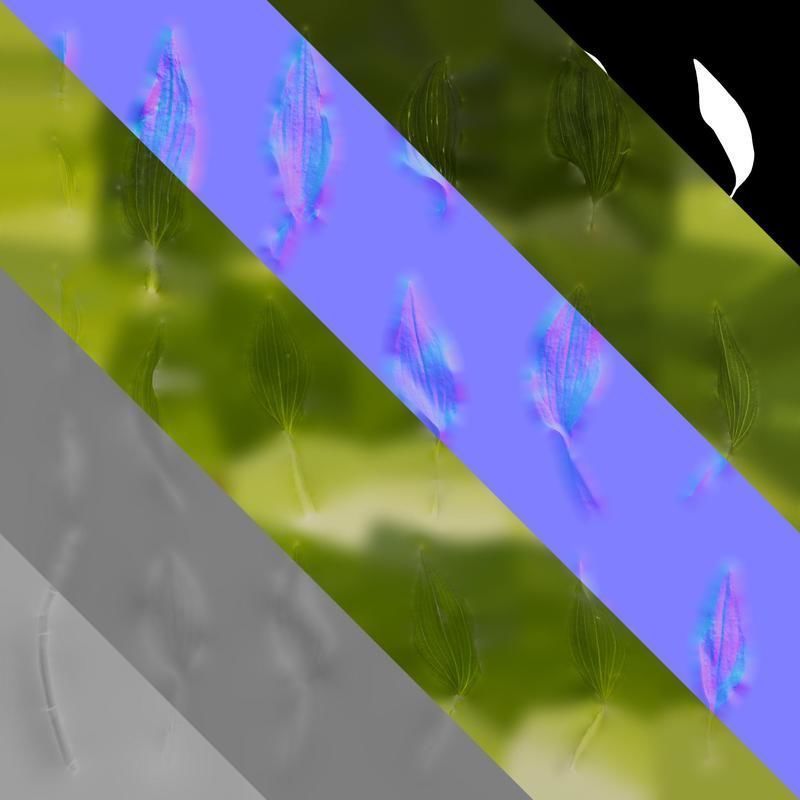 Anydrafts Alstroemeria hybrida Leaf 01 Texture_8