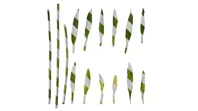 Anydrafts Alstroemeria hybrida Leaf 02