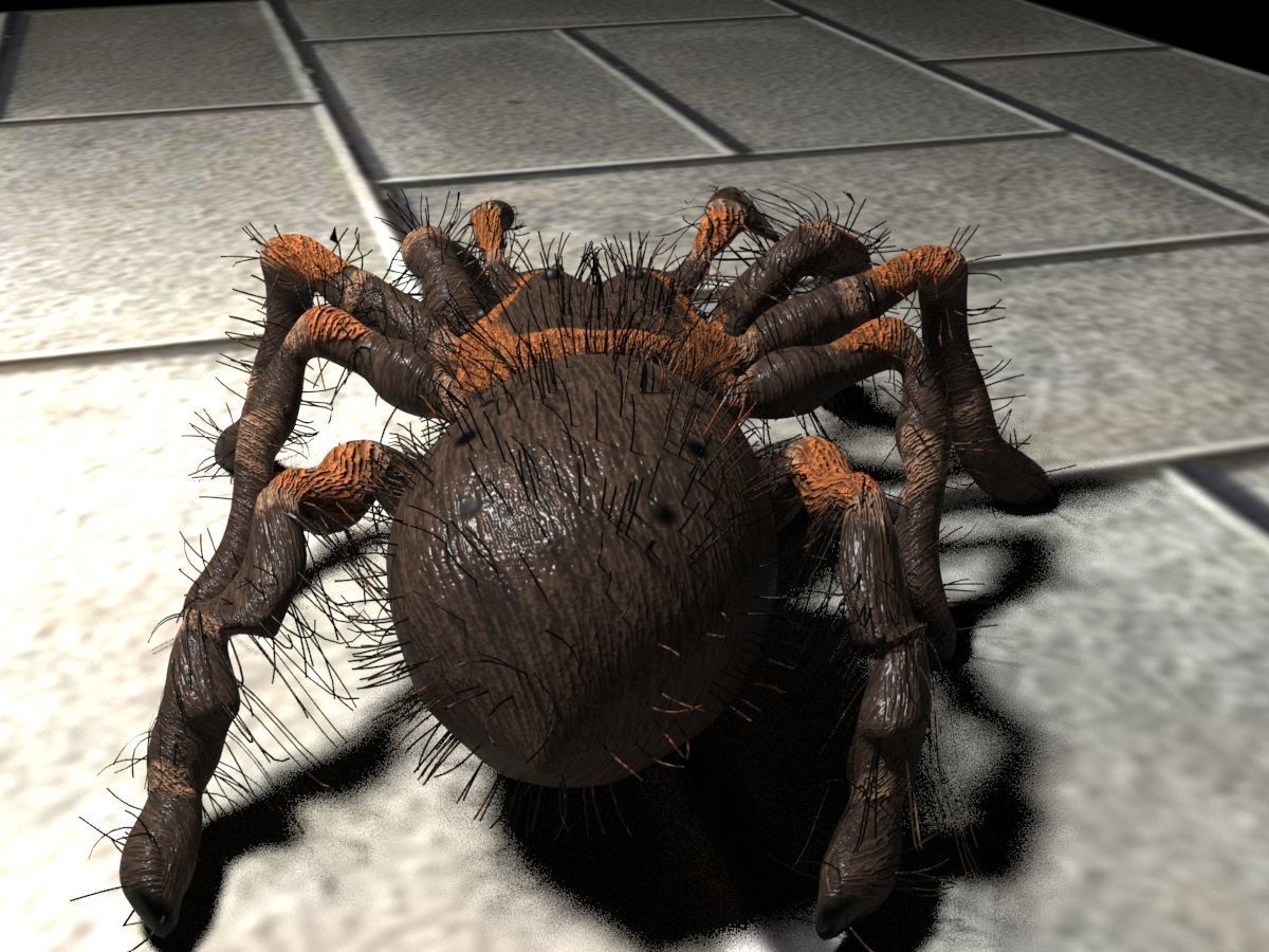 Realistic crawling tarantula 3D model_5