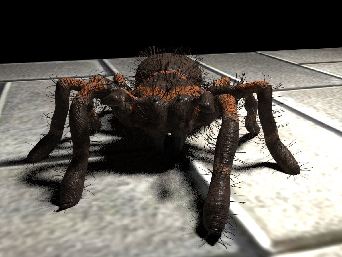 Realistic crawling tarantula 3D model_4