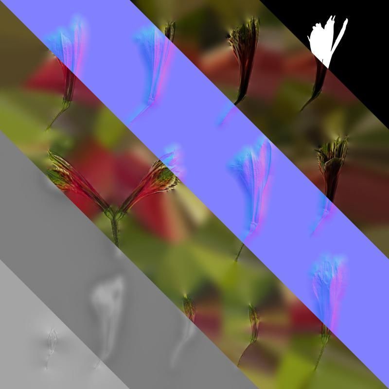 Anydrafts Alstroemeria psittacina Flower 01 Texture_8