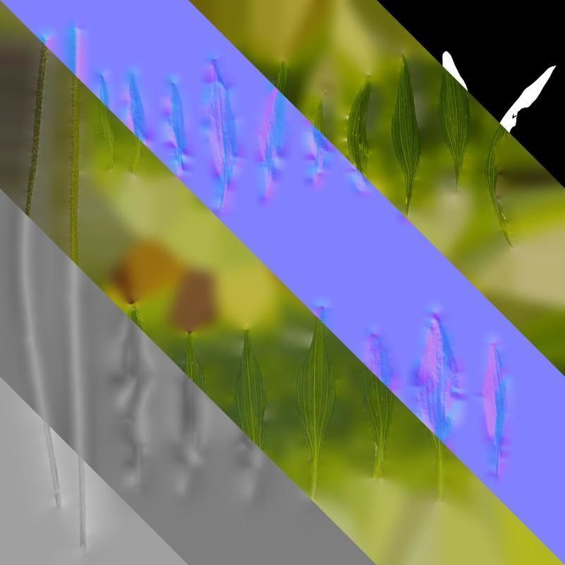 Anydrafts Alstroemeria psittacina Leaf 01 Texture_8