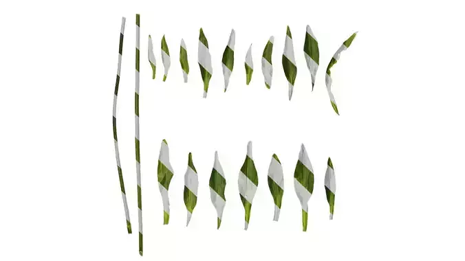 Anydrafts Alstroemeria psittacina Leaf 01