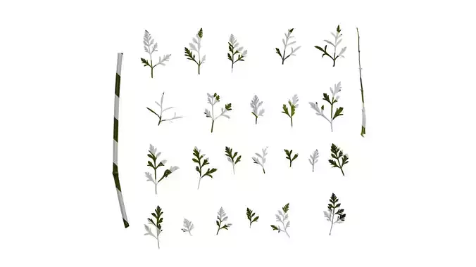 Anydrafts Ammi black knight Leaf 01