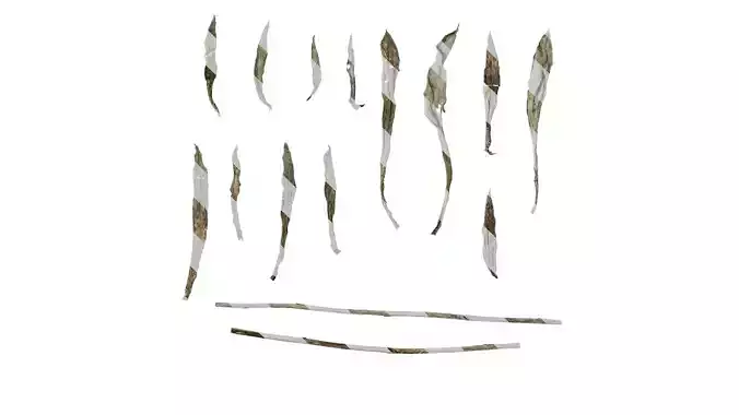 Anydrafts Anaphalis nepalensis Leaf 01