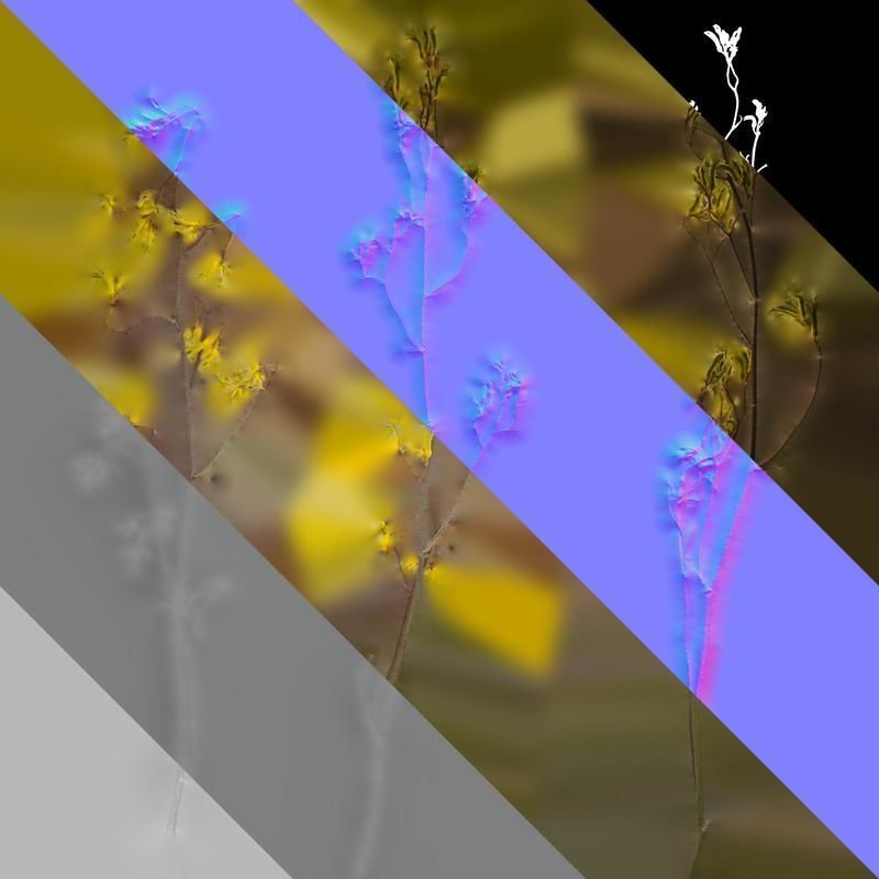 Anydrafts Anigozanthos flavidus Atlas 03 Texture_8