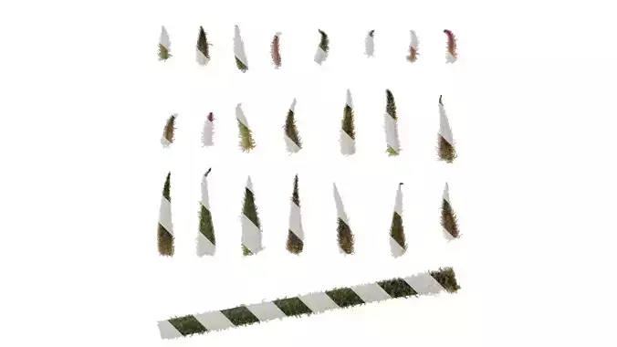 Anydrafts Anigozanthos flavidus Flower 04