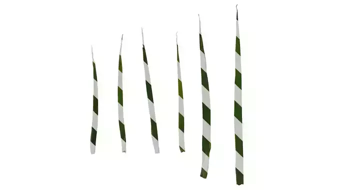 Anydrafts Anigozanthos flavidus Leaf 06