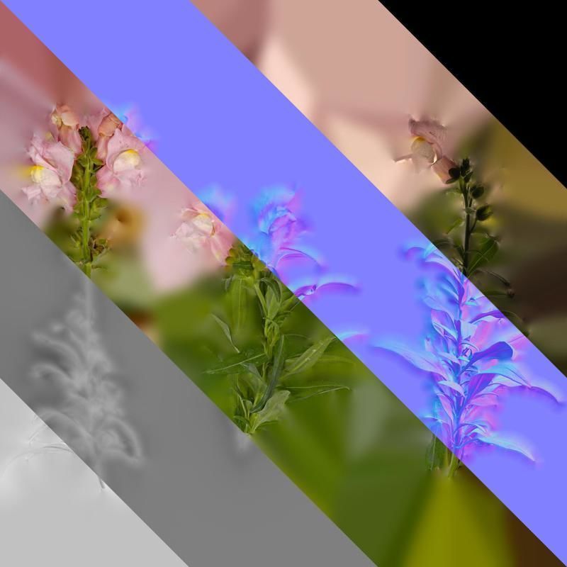 Anydrafts Antirrhinum majus Atlas 04 Texture_8